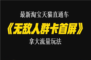 最新淘宝天猫直通车《无敌人群卡首屏》拿大流量玩法-震撼发布