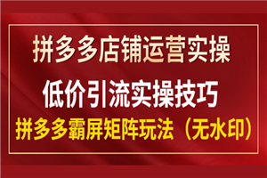 拼多多店铺运营实操，低价引流实操技巧，拼多多霸屏矩阵玩法（无水印）