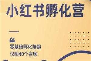 勇哥小红书撸金快速起量项目：教你如何快速起号获得曝光，做到月躺赚在 3000+