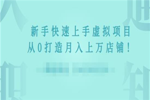 2022年虚拟项目实战指南，新手从0打造月入上万店铺