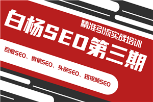 最新白杨SEO精准引流实战教程 百度微信头条短视频SEO