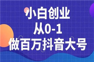 小白创业从0-1做百万抖音大号，短视频带货引流必备课程