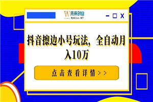 抖音擦边小号玩法，全自动月入10万