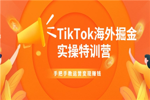 TikTok海外掘金实操特训营：手把手教运营变现赚钱