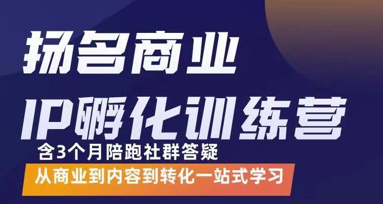 商业IP孵化训练营，从商业到内容到转化一站式学 价值5980元