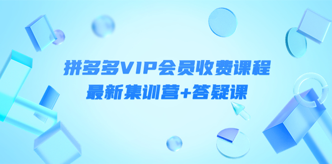 某社群·拼多多VIP会员收费课程，最新集训营+答疑课-价值3000+