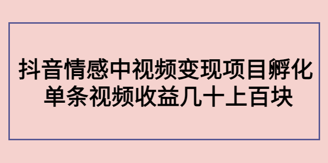 知名大师课程：抖音情感中视频变现项目孵化