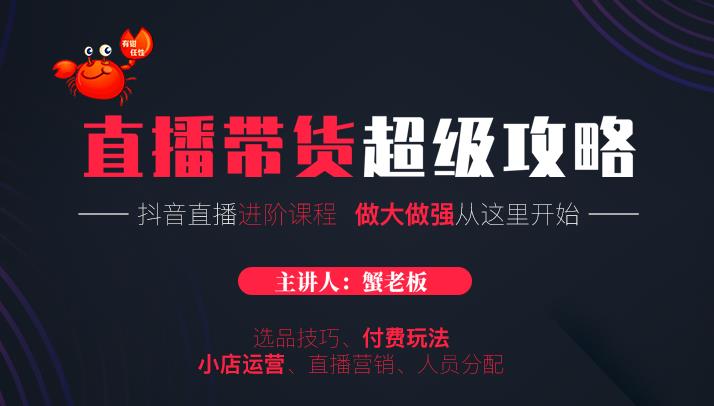 抖音直播带货超级攻略：抖音直播带货的详细玩法，小店运营、付费投放等