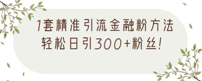 1套精准引流金融粉方法，轻松日引300+粉丝