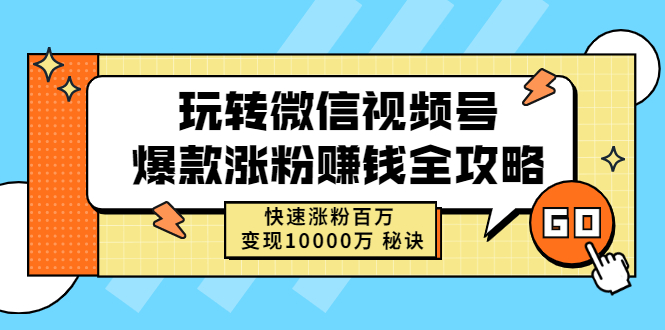 玩转微信视频号爆款涨粉赚钱全攻略，快速涨粉百万 变现10000万