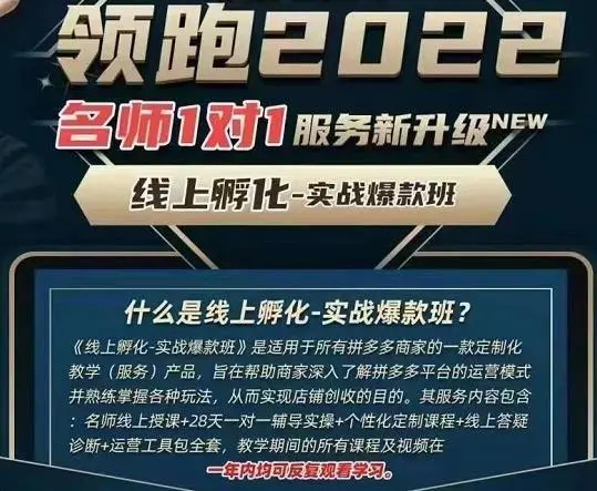 牛气学堂老陶电商第9期-拼多多名师线上领跑28天（价值3999元）