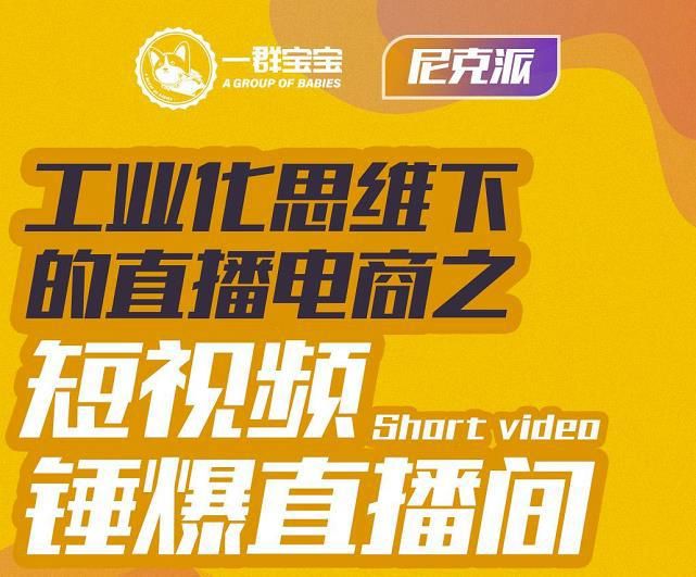 工业化思维下的直播电商尼克（价值6980元）