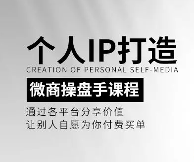 小伟商业IP操盘手线下课（价值16800元）