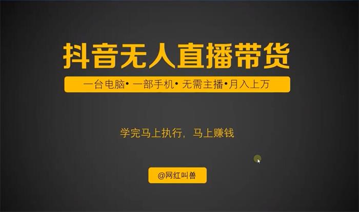 网红叫兽-一个人就可以搞定的直播带货实战课（价值798元）