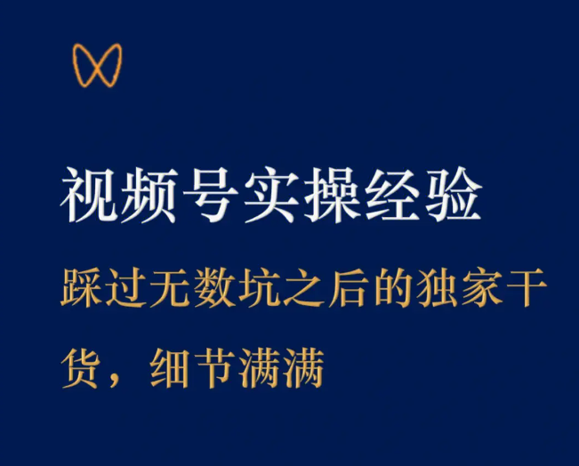 谢成峰-微信视频号实操经验分享（价值6980元）