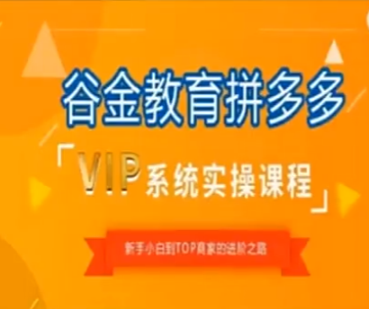 鑫老板谷金学堂-拼多多运营实操合集（价值599元）