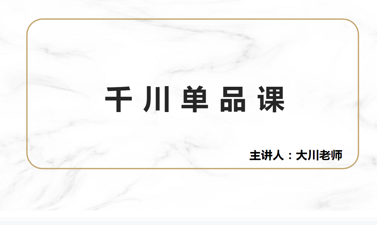 大川电商千川课程单品日不落11月3号4号两天线下课程（价值9980元）