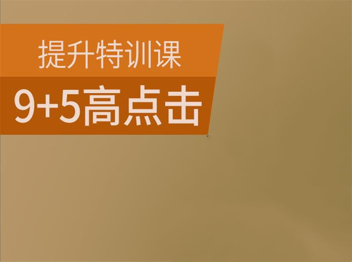 大圣电商-9+5高点击提升特训课（价值199元）