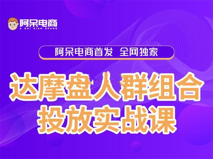 阿呆-达摩盘人群组合投放实战课（价值3980元）