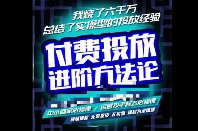 苏酒儿付费投放进阶课程烧了六千万总结了实操型投放经（价值1980元）