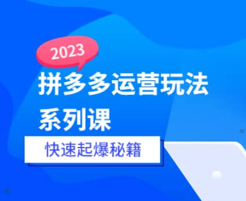 牛气课堂-拼多多运营玩法系列课快速起爆秘籍（价值499元）