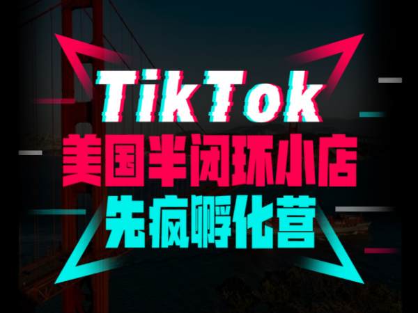 短视频疯人院-TikTok美国半闭环小店先疯孵化营-2023（价值5999元）