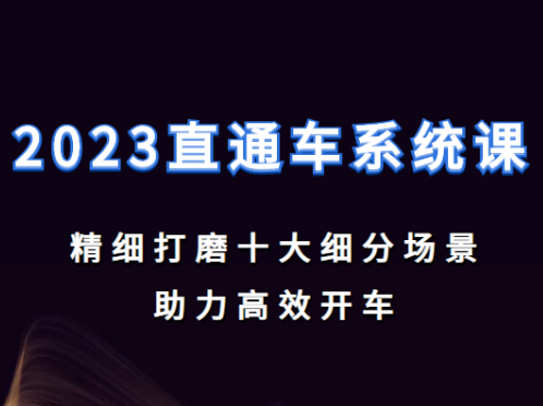 老衲-2023直通车系统课（价值999元）