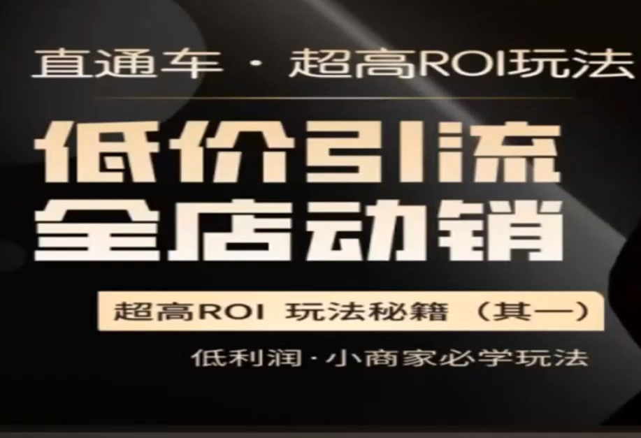 电商冰可乐直通车·《低价引流·全店动销》2023年（价值1680元）