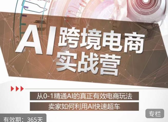 白龙-AI跨境电商实战营（价值999元）