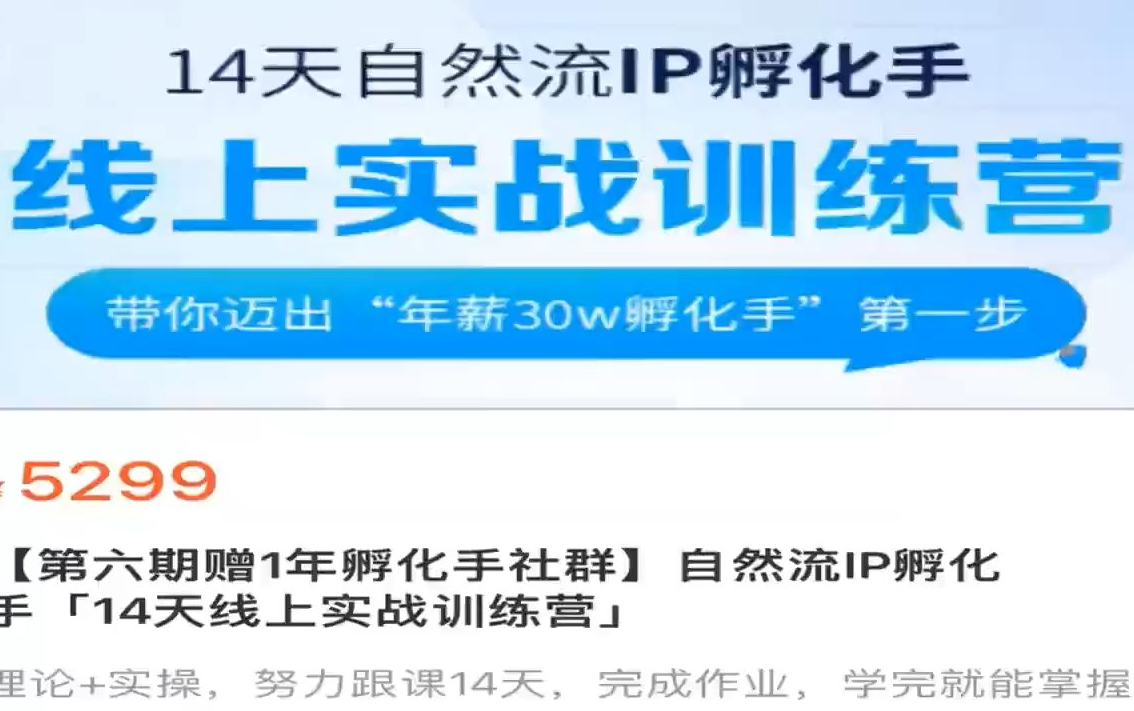 瑶瑶-自然流IP孵化手-14天线上实战训练营6期2023年（价值5299元）