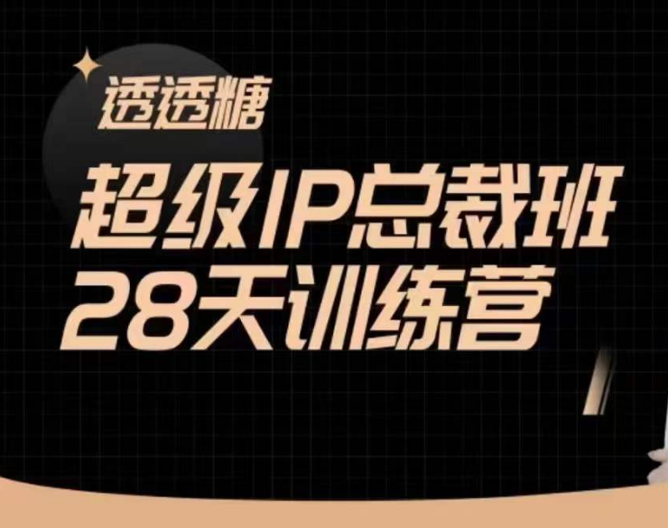 透透糖超级IP总裁班28天训练营2024年5月(价值16800元)