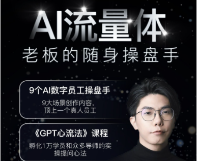 白先生AI流量体-老板的随身操盘手2025年5月(价值1980元)