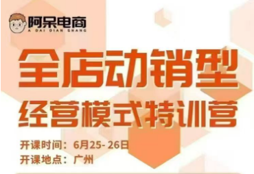 阿呆电商-全店动销型经营模式6月25-26日广州线下课(价值9800元)
