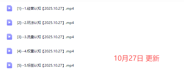 老陶电商拼多多线上SVIP25年10月27更新(价值1780元)