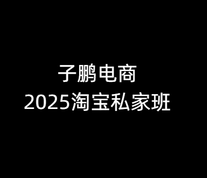 子鹏讲电商-淘宝私家班25年12月(价值4980元)