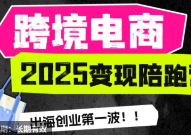 职场B计划阿耀-打爆TiktoK-2025变现陪跑营(价值9800元)
