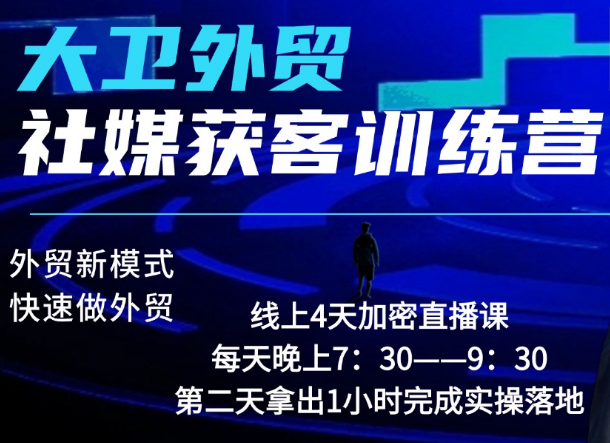 大卫老师-外贸社媒获客独家训练营2026年2月份(价值2980元)
