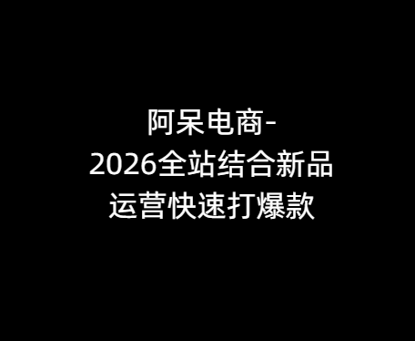 阿呆电商-2026全站结合新品运营快速打爆款5月12日更新