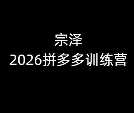 宗泽-2026拼多多训练营9月8更新(价值3980元)
